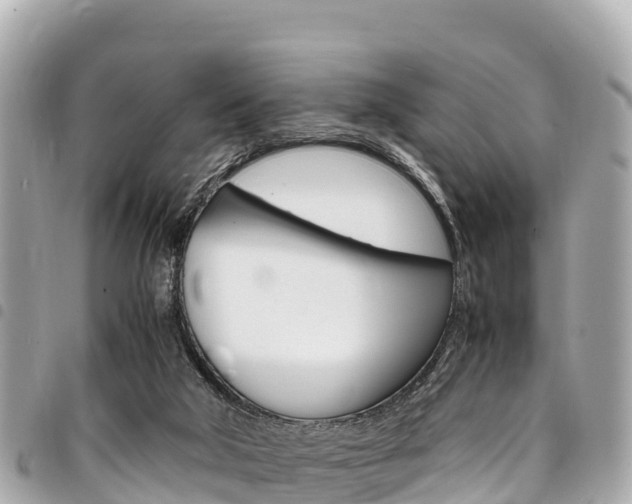 X0000095520018200712140920
