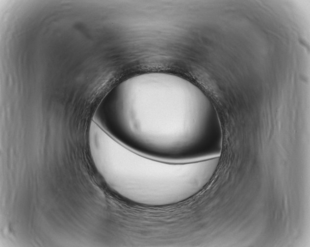 X0000095520021200712140920