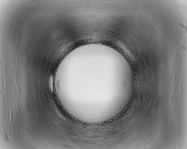 X0000095520022200712140920