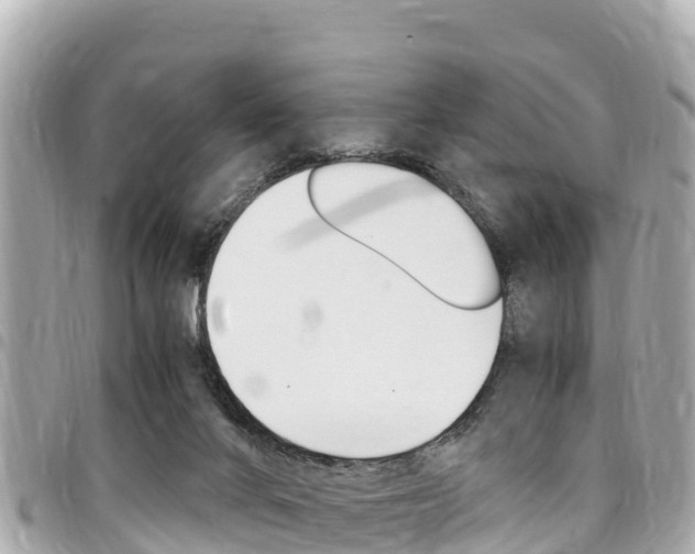X0000095520024200712140920