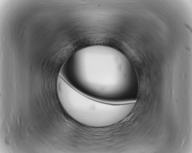 X0000095520025200712140920