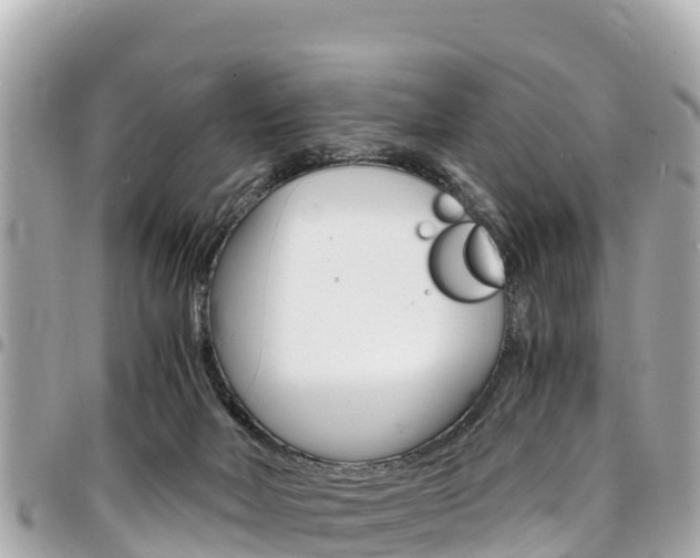 X0000095520026200712140920