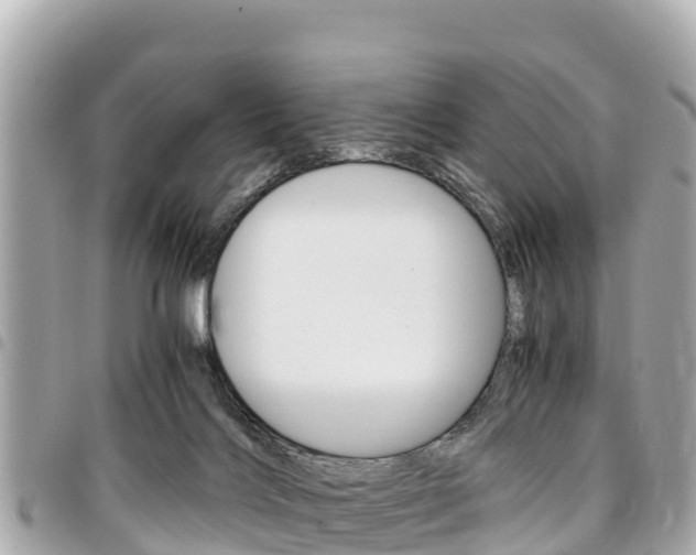 X0000095520028200712140919