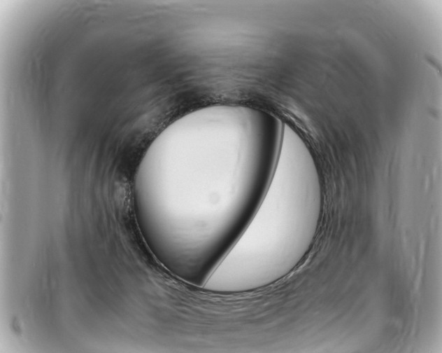 X0000095520029200712140919