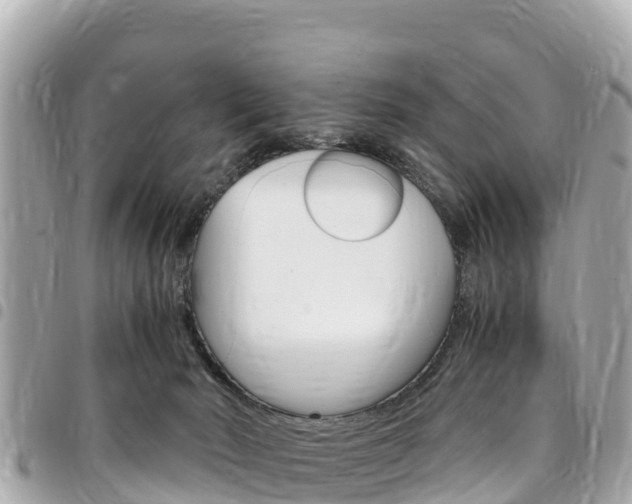 X0000095520030200712140919