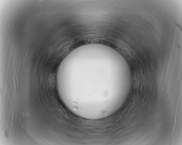 X0000095520034200712140919