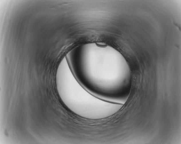 X0000095520035200712140919