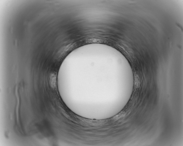 X0000095520036200712140919