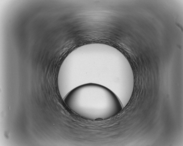 X0000095520039200712140919