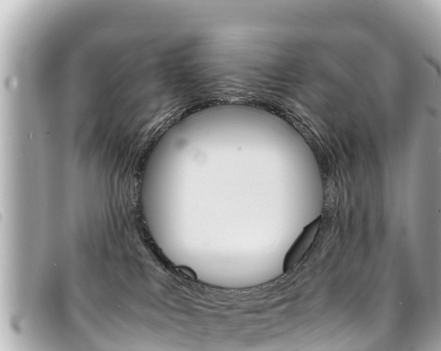 X0000095520043200712140919