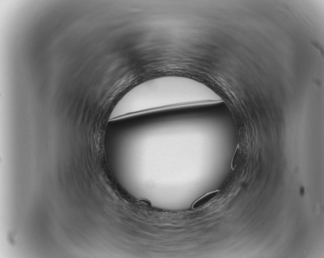 X0000095520044200712140919