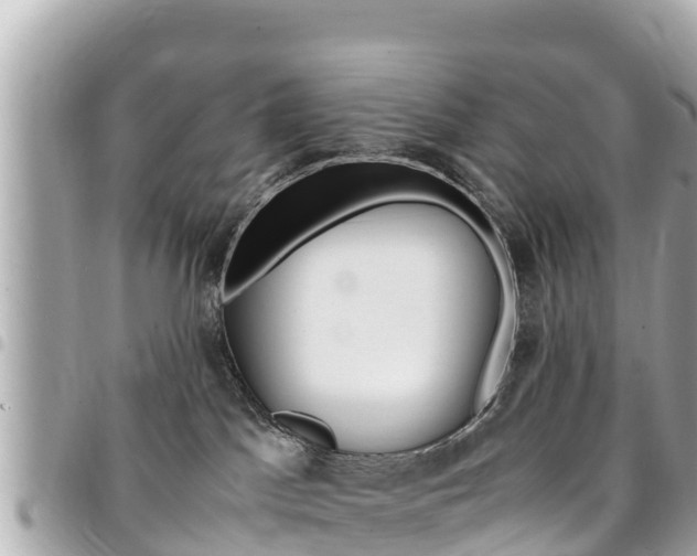 X0000095520045200712140919