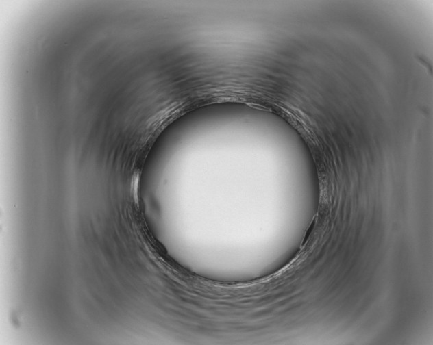 X0000095520047200712140919