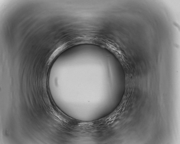 X0000095520051200712140919