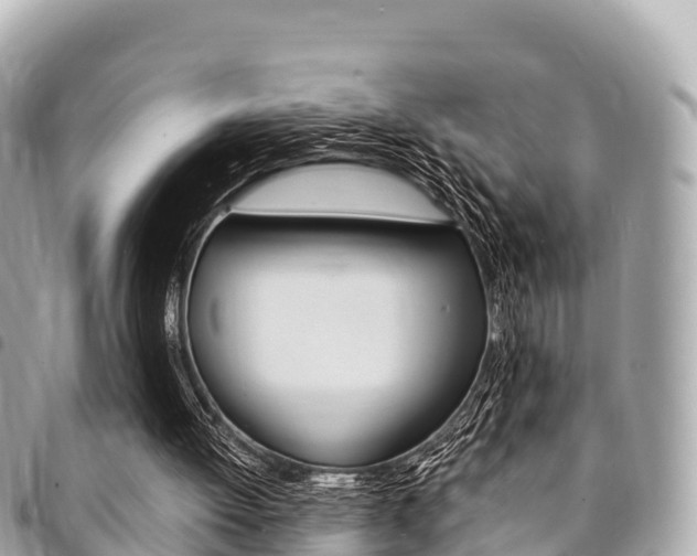 X0000095520052200712140919