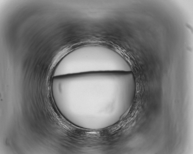 X0000095520053200712140919