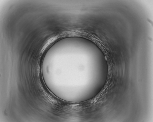 X0000095520054200712140919