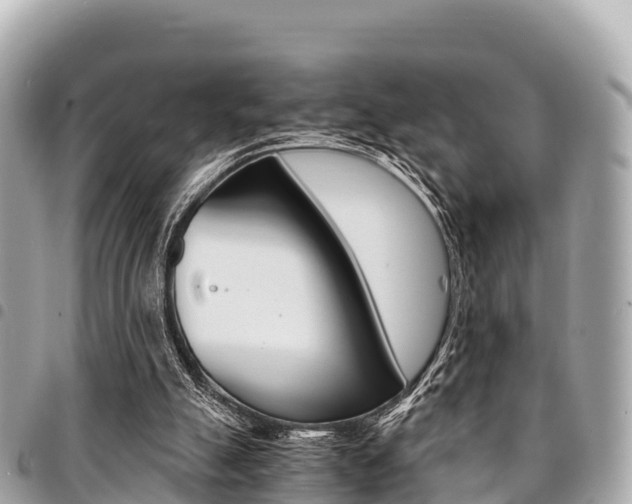 X0000095520055200712140919