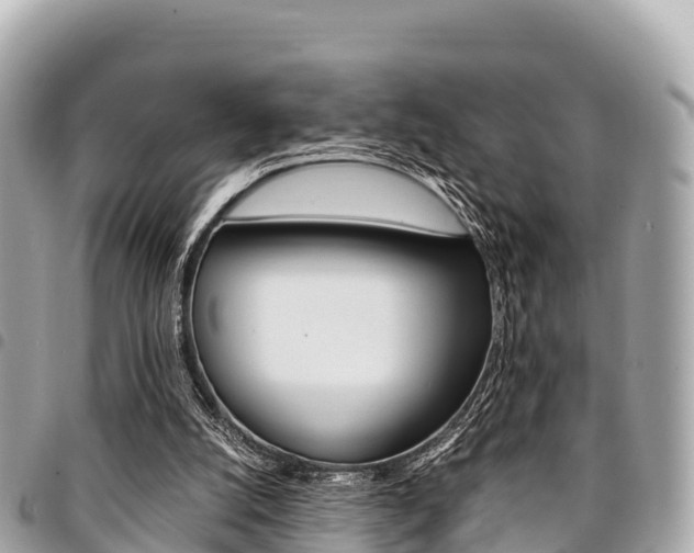X0000095520056200712140919
