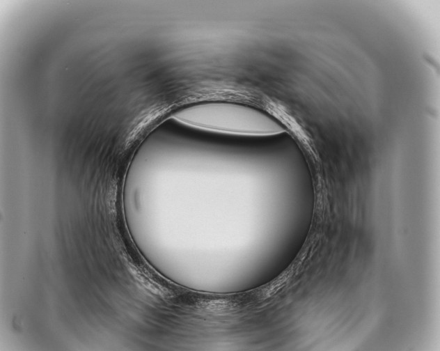 X0000095520058200712140919