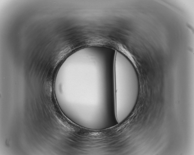 X0000095520059200712140919
