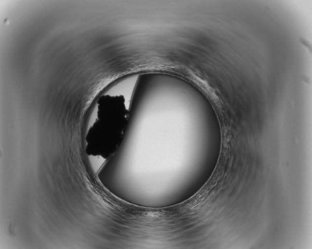 X0000095520060200712140919