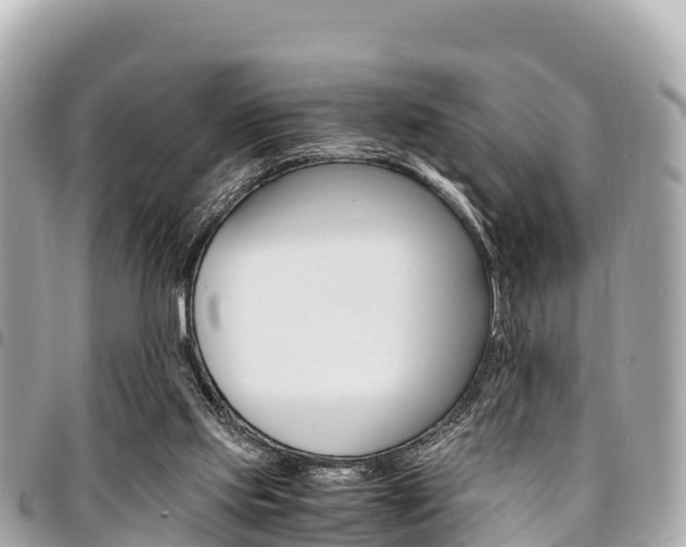 X0000095520061200712140919