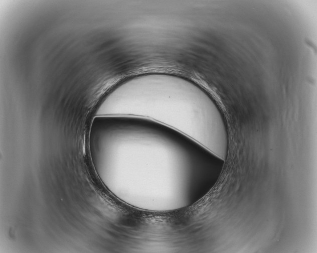 X0000095520062200712140919