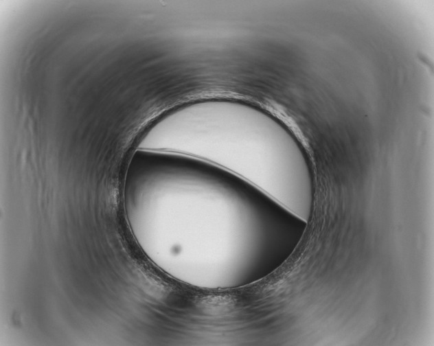 X0000095520063200712140919