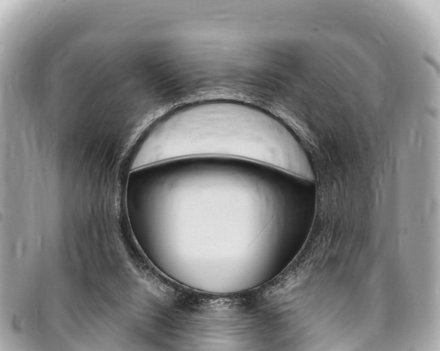 X0000095520064200712140919