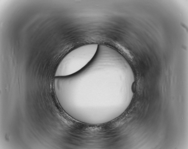 X0000095520065200712140919