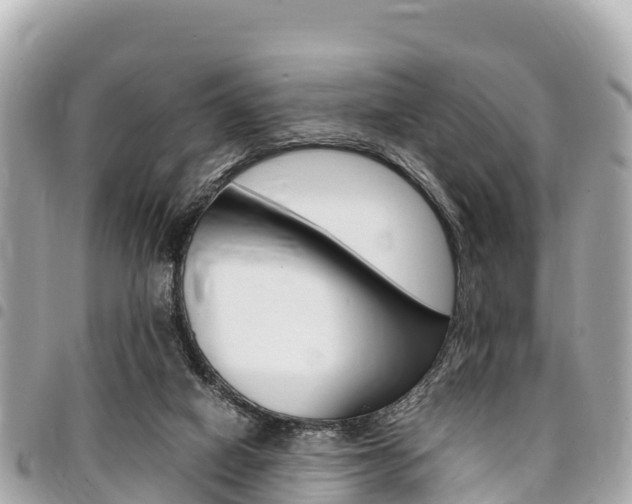 X0000095520066200712140919