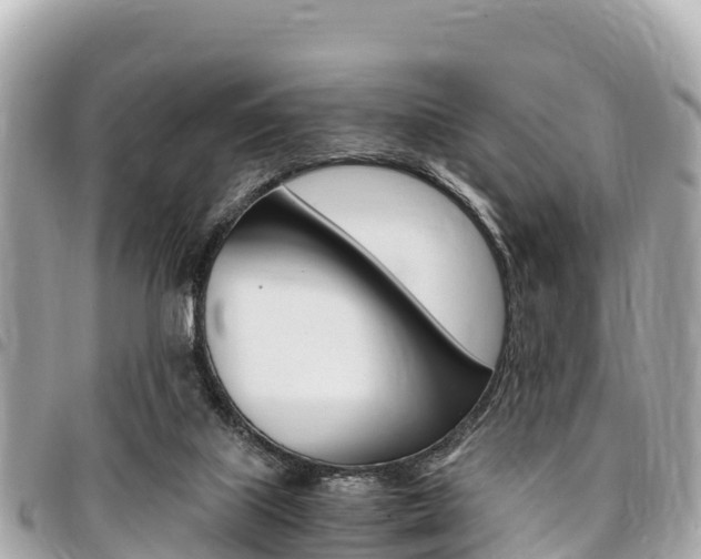 X0000095520067200712140919