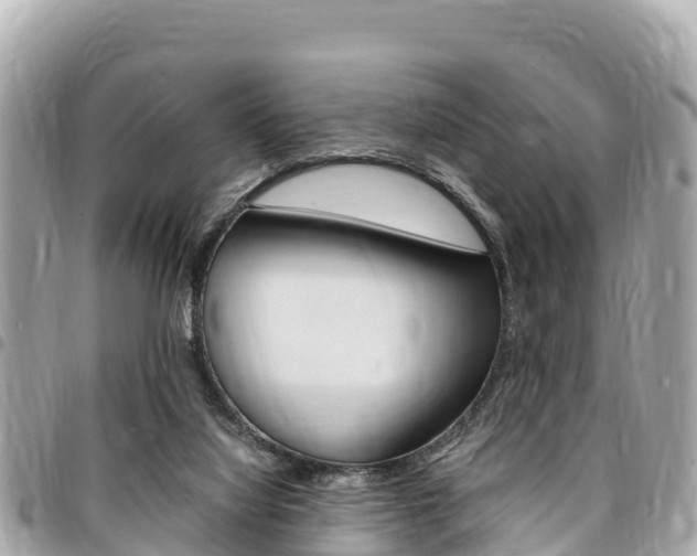 X0000095520068200712140919