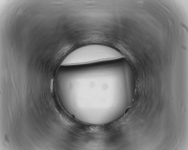 X0000095520070200712140919