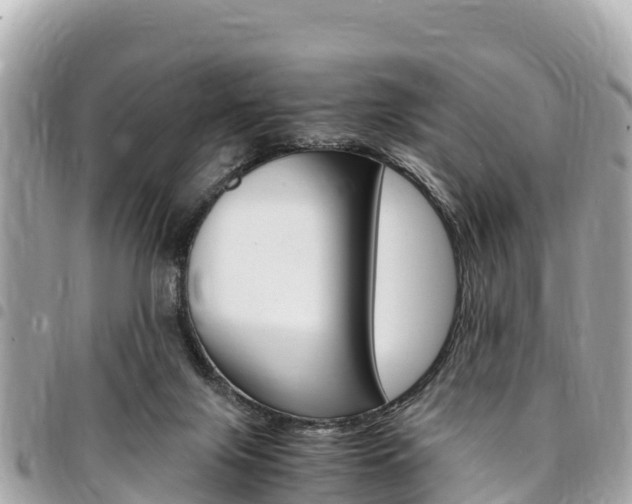 X0000095520071200712140919