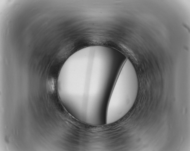 X0000095520075200712140919