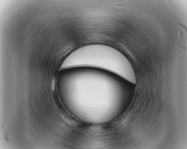 X0000095520076200712140919