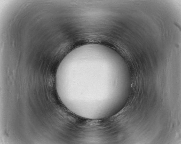 X0000095520078200712140919
