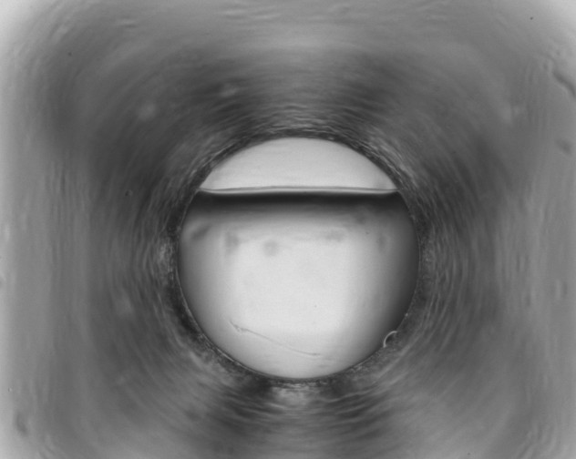 X0000095520079200712140919