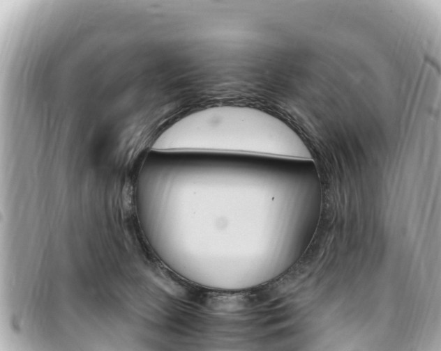X0000095520081200712140919
