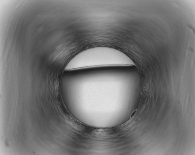 X0000095520082200712140919