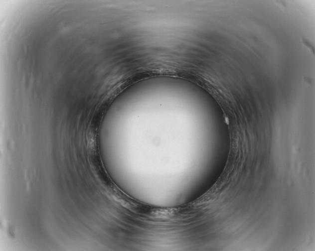 X0000095520084200712140919