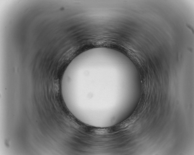 X0000095520085200712140919