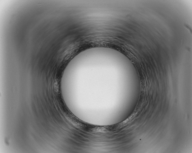 X0000095520086200712140919