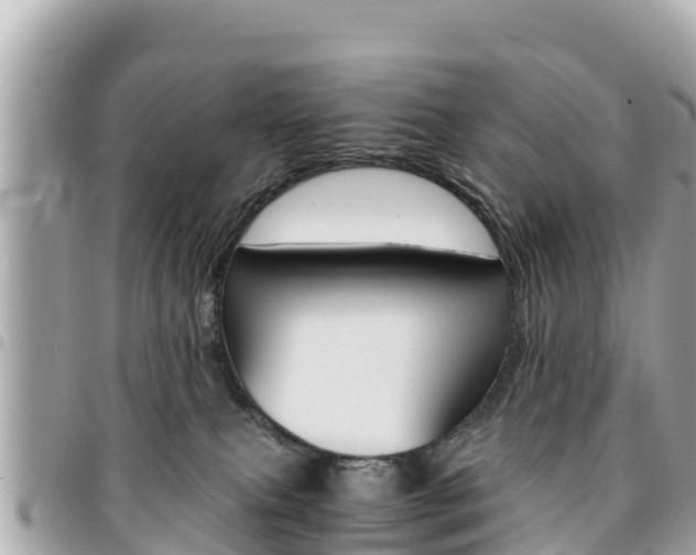 X0000095520087200712140919