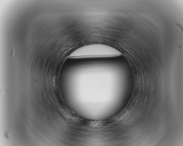 X0000095520088200712140919