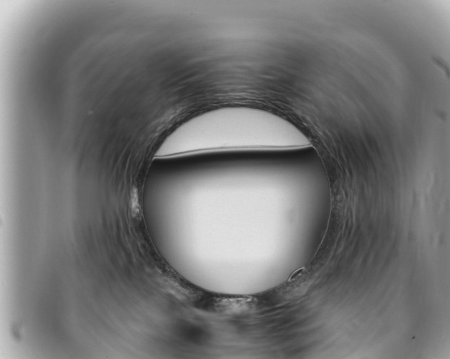 X0000095520089200712140919