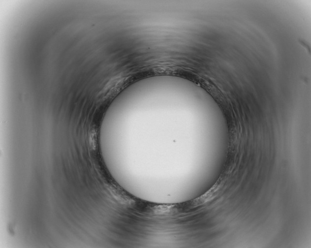 X0000095520090200712140919