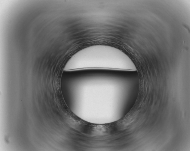 X0000095520091200712140919